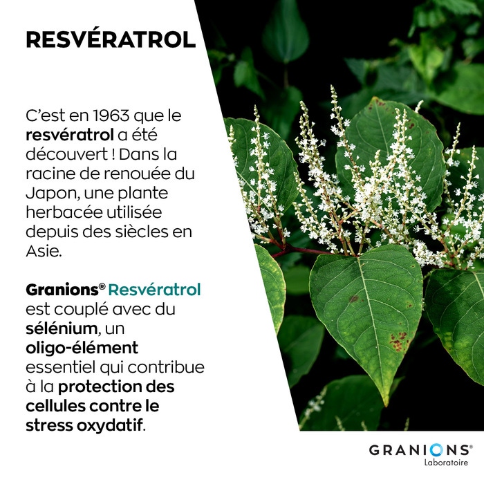 Granions Resveratrol 30 cápsulas