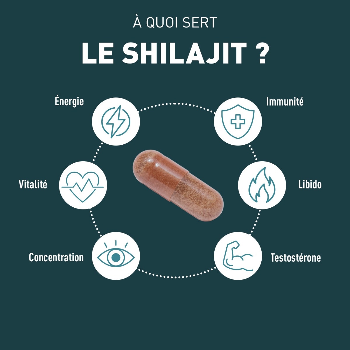 A quoi sert le shilajit ?