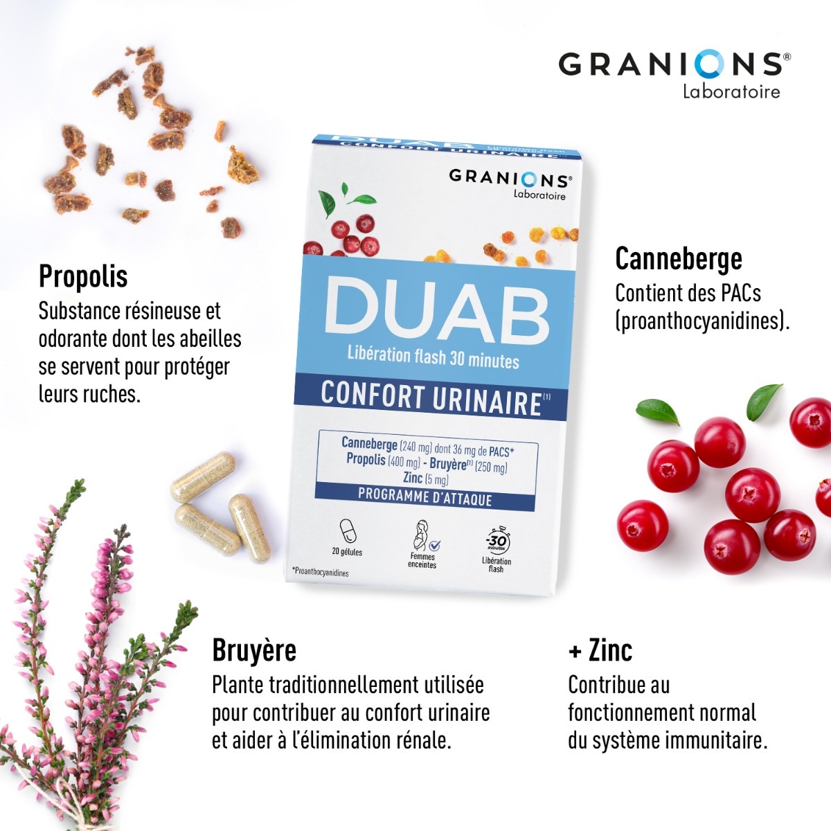 Duab