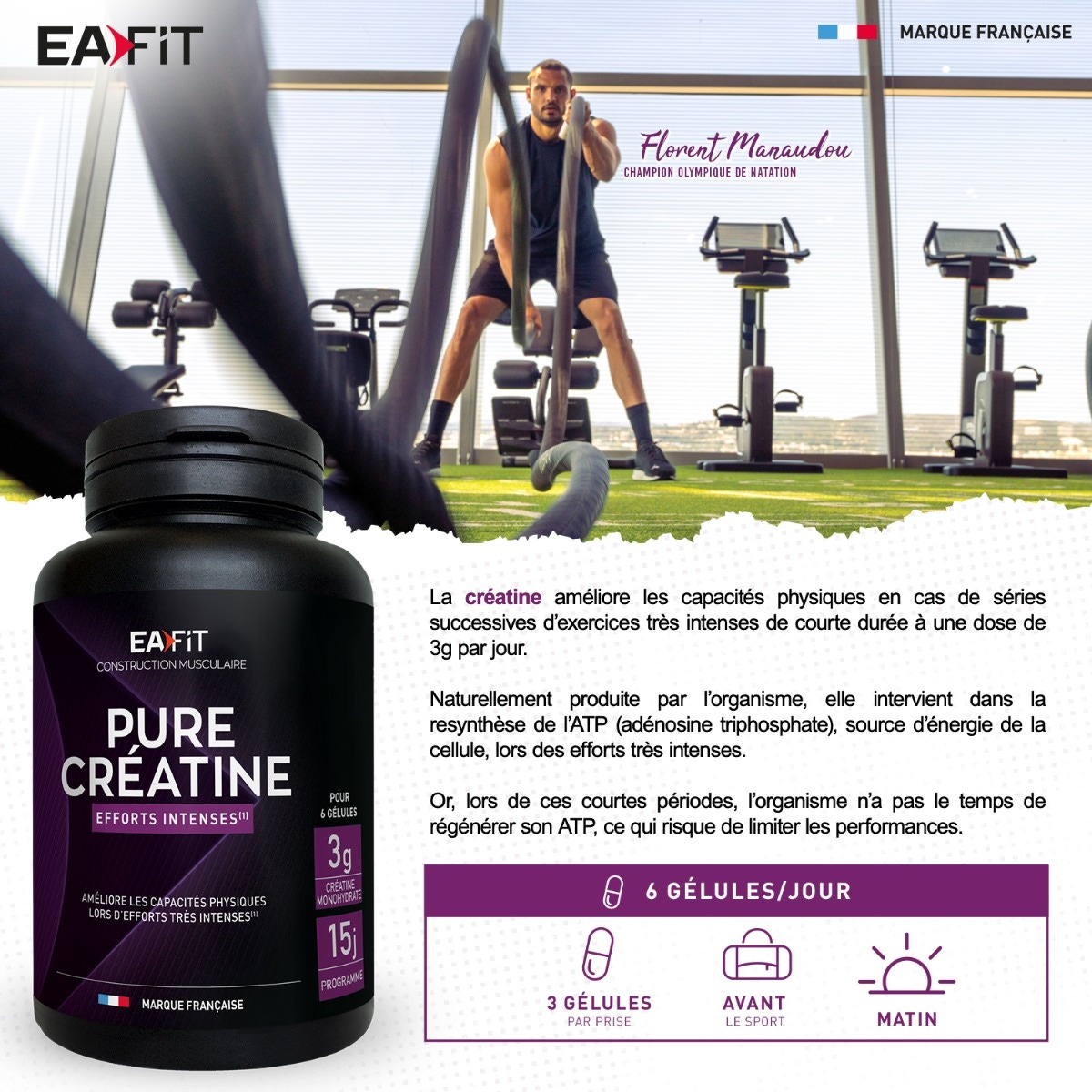 Pure créatine - efforts intenses