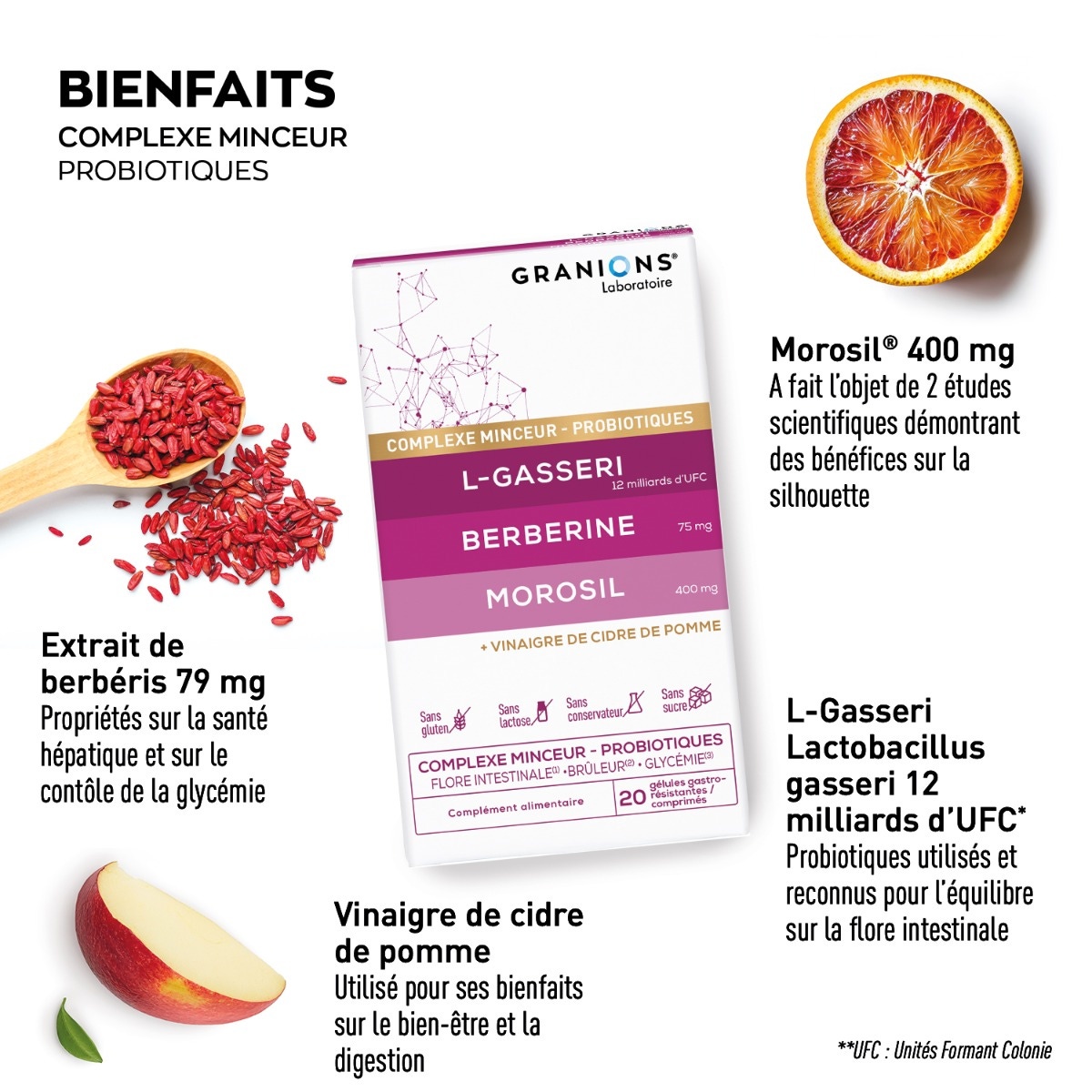 Complexe Microbiote Minceur LGasseri Berberine Morosil
