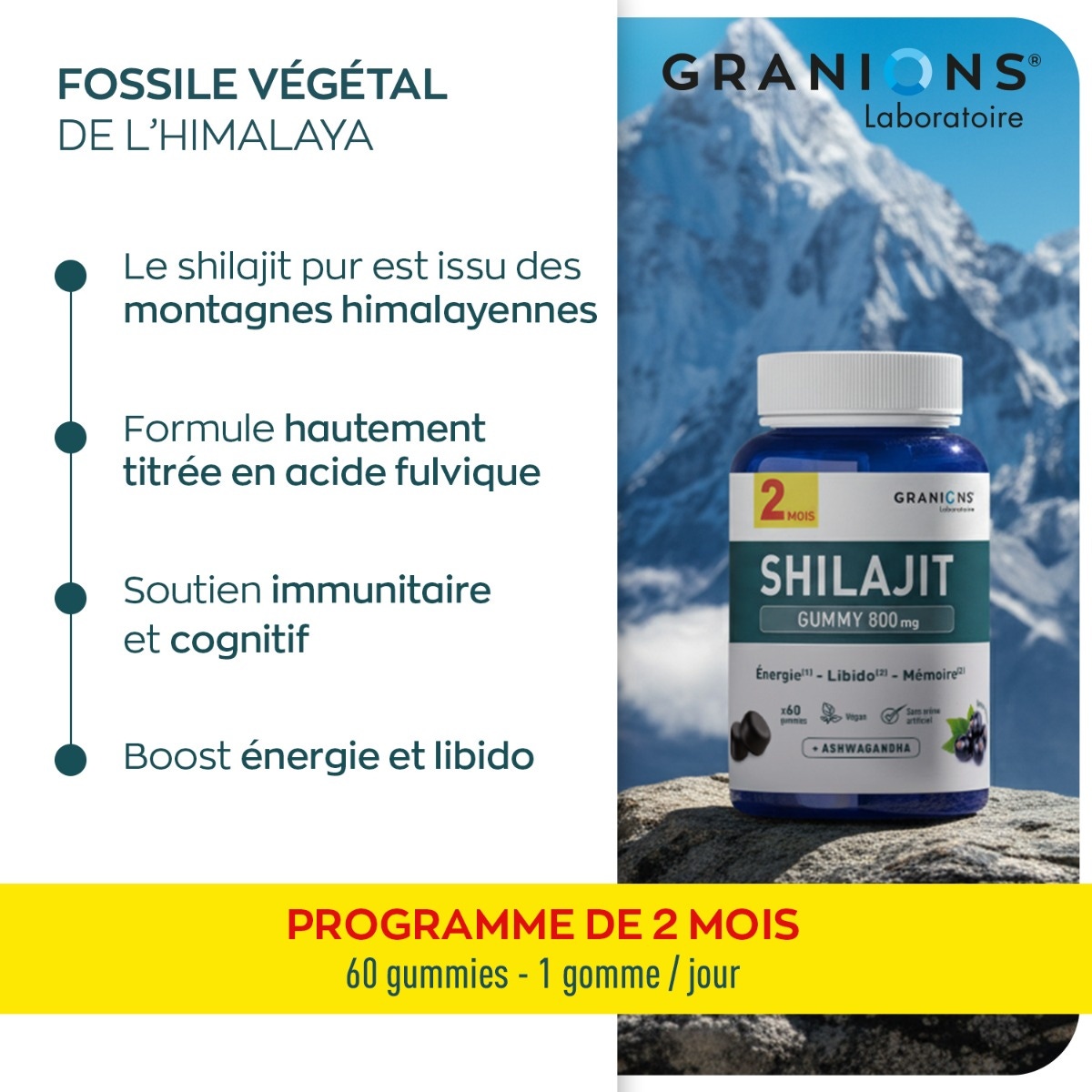 Origine des Gummies de Shilajit Granions