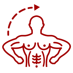 Desarrollo muscular 